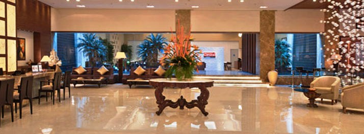 196/Fortune Park D J Avenue - New Delhi 02.jpg